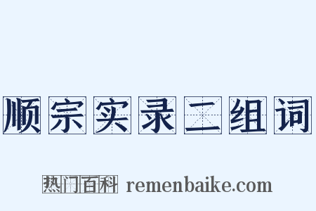 顺宗实录二组词是什么意思的图片